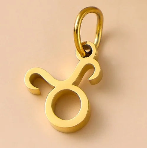 10PCS Stainless Steel Star Zodiac Sign 12 Constellation Pendant Accessories for Necklace Women Man Jewelry Gifts Wholesale