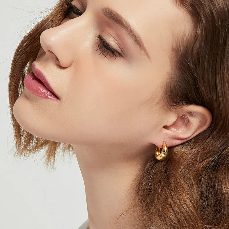 925 Sterling Silber überzogene klobige Creolen für Frauen, geometrische Kreis-Punk-Ohrringe, Partygeschenke 2021, neuer Dropshipping