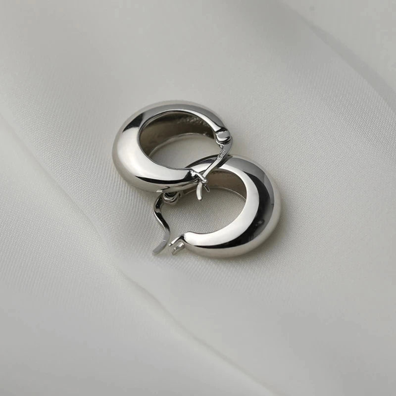 925 Sterling Silber überzogene klobige Creolen für Frauen, geometrische Kreis-Punk-Ohrringe, Partygeschenke 2021, neuer Dropshipping