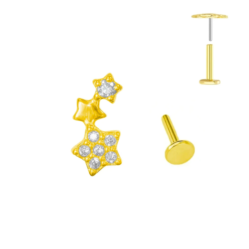 ASTM F136 G23 Titan Blumen Piercing Push-In Zweig Ohrring Stecker Anhänger Gewindefreies Labret Piercing Knorpel Körperschmuck