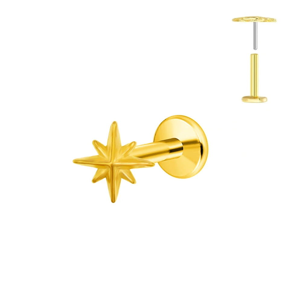 ASTM F136 G23 Titan Blumen Piercing Push-In Zweig Ohrring Stecker Anhänger Gewindefreies Labret Piercing Knorpel Körperschmuck