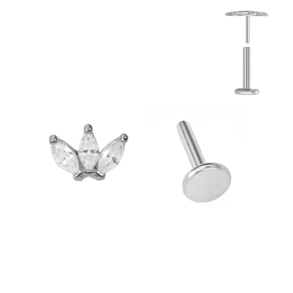 ASTM F136 G23 Titan Blattzweig Push-In Threadless Labret Piercing 16/18/20G Ohrstecker Knorpel Großhandel Körperschmuck