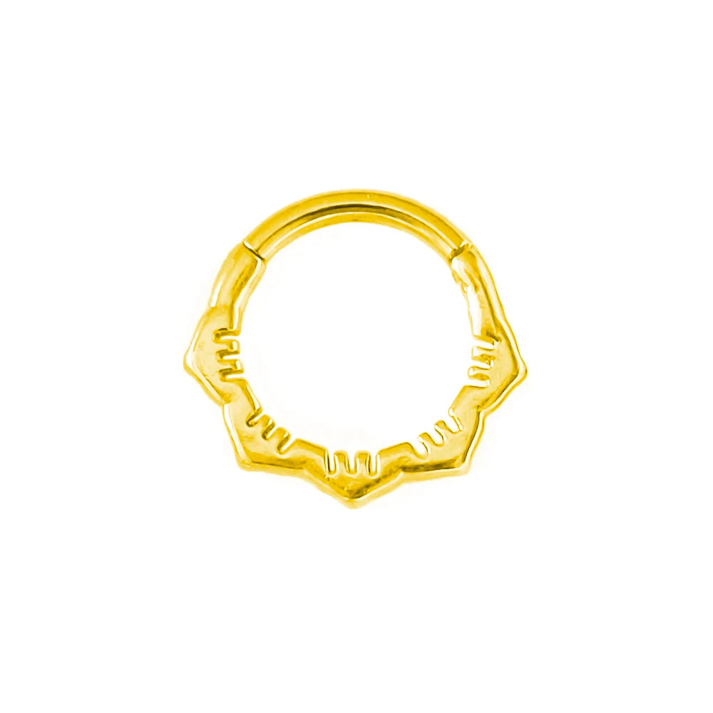Anillo de nariz con flores, tabique, 100 % acero quirúrgico 316L, circonita, clicker, perforación Daith, cartílago de oreja, aro Helix, flores, gotas de agua