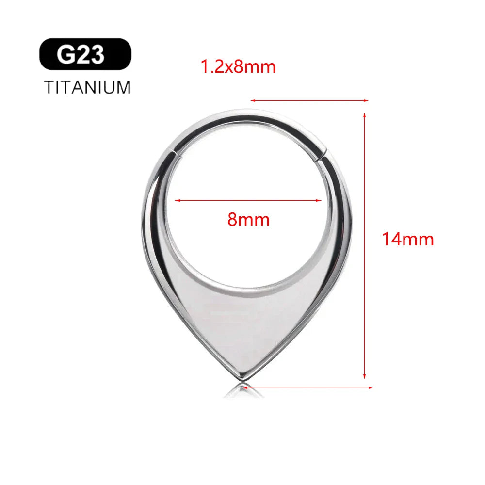 G23 Titan Biene Septum Nasenring Piercing Körperschmuck 16G Mond Segment Schlange Clicker Helix Ohrknorpel Herz Daith Hoop