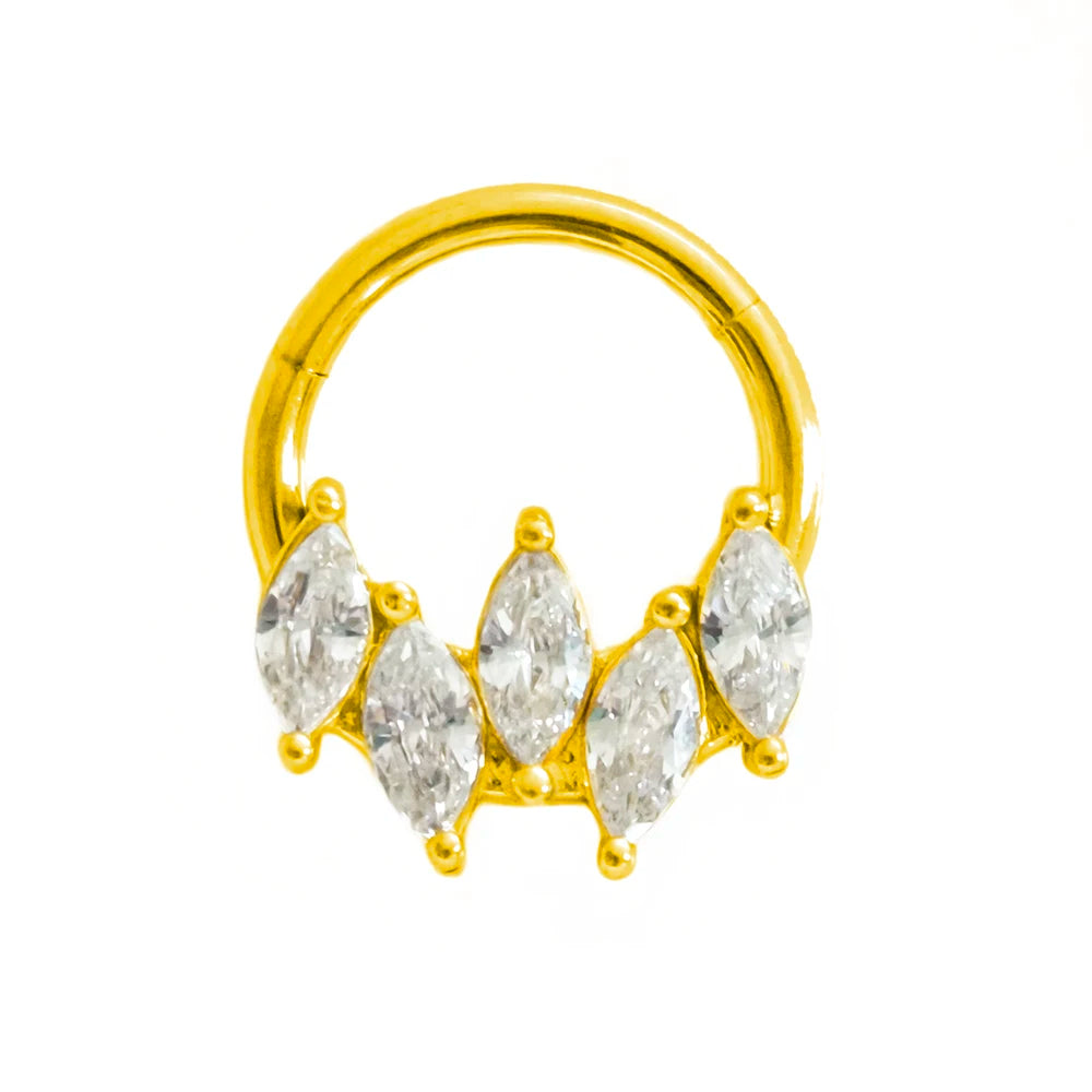 316L Chirurgischer Stahl Segment Nasenring Zirkon Septum Clicker Ohrknorpel Helix Daith Hoop Körperschmuck Piercing