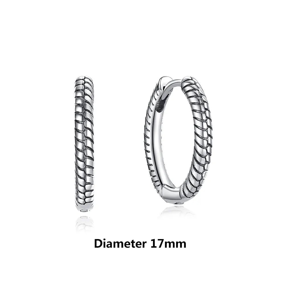 Original 925 Sterling Silver Earrings 2026 Stud Hoop Crystal Earings For Women Rose Gold Crown Heart Infinity Bee Earing Jewelry