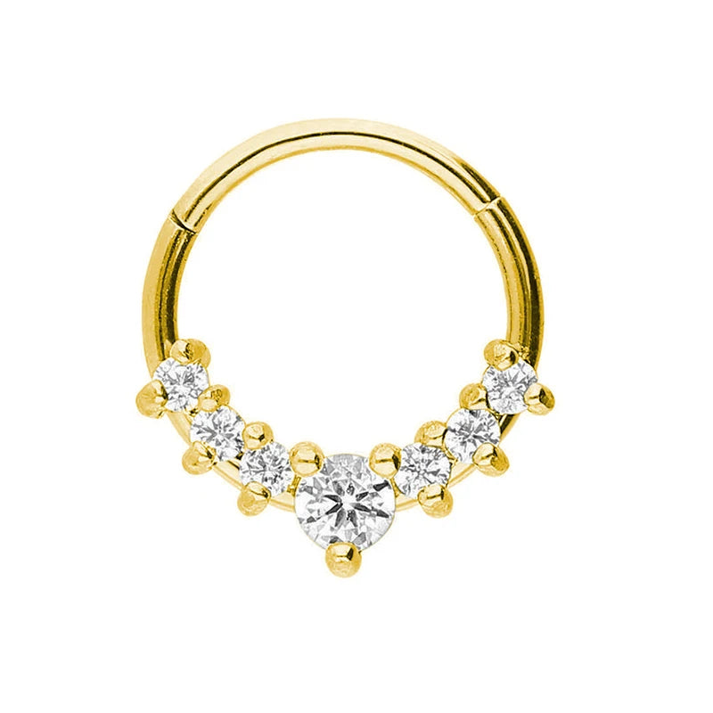 316L Chirurgischer Stahl Segment Nasenring Zirkon Septum Clicker Ohrknorpel Helix Daith Hoop Körperschmuck Piercing