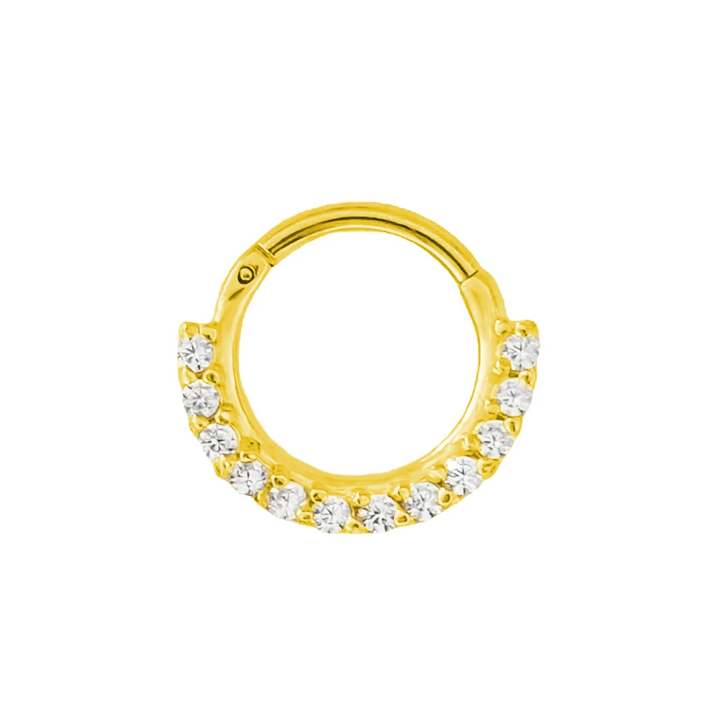 316L Chirurgischer Stahl Segment Nasenring Zirkon Septum Clicker Ohrknorpel Helix Daith Hoop Körperschmuck Piercing