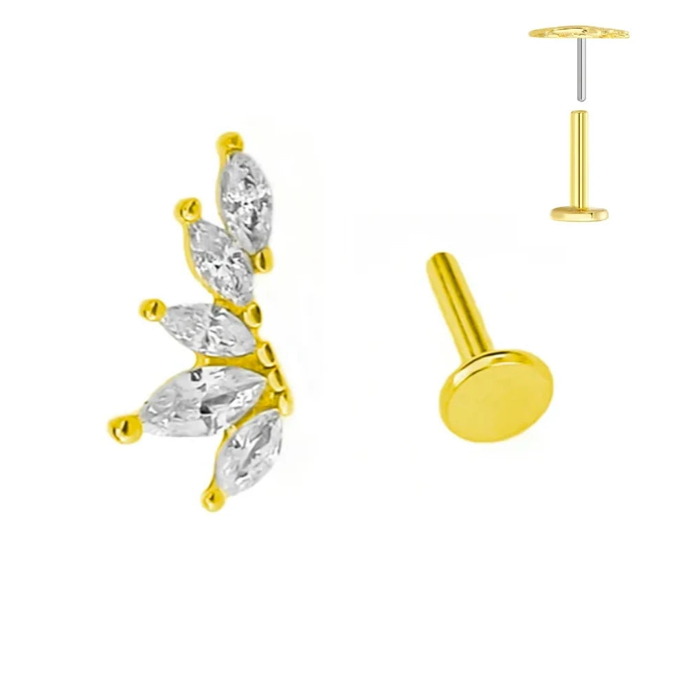 ASTM F136 G23 Titan Blattzweig Push-In Threadless Labret Piercing 16/18/20G Ohrstecker Knorpel Großhandel Körperschmuck