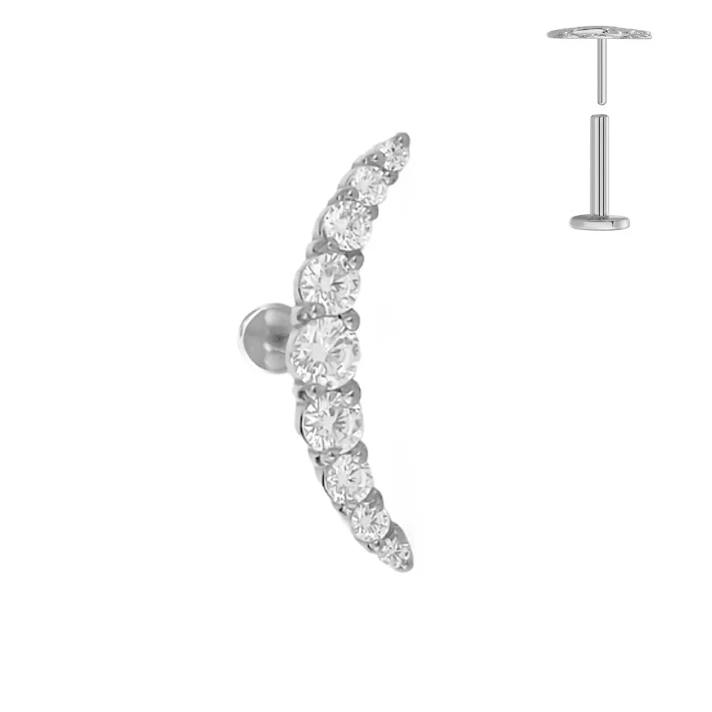 ASTM F136 G23 Titan Blattzweig Push-In Threadless Labret Piercing 16/18/20G Ohrstecker Knorpel Großhandel Körperschmuck