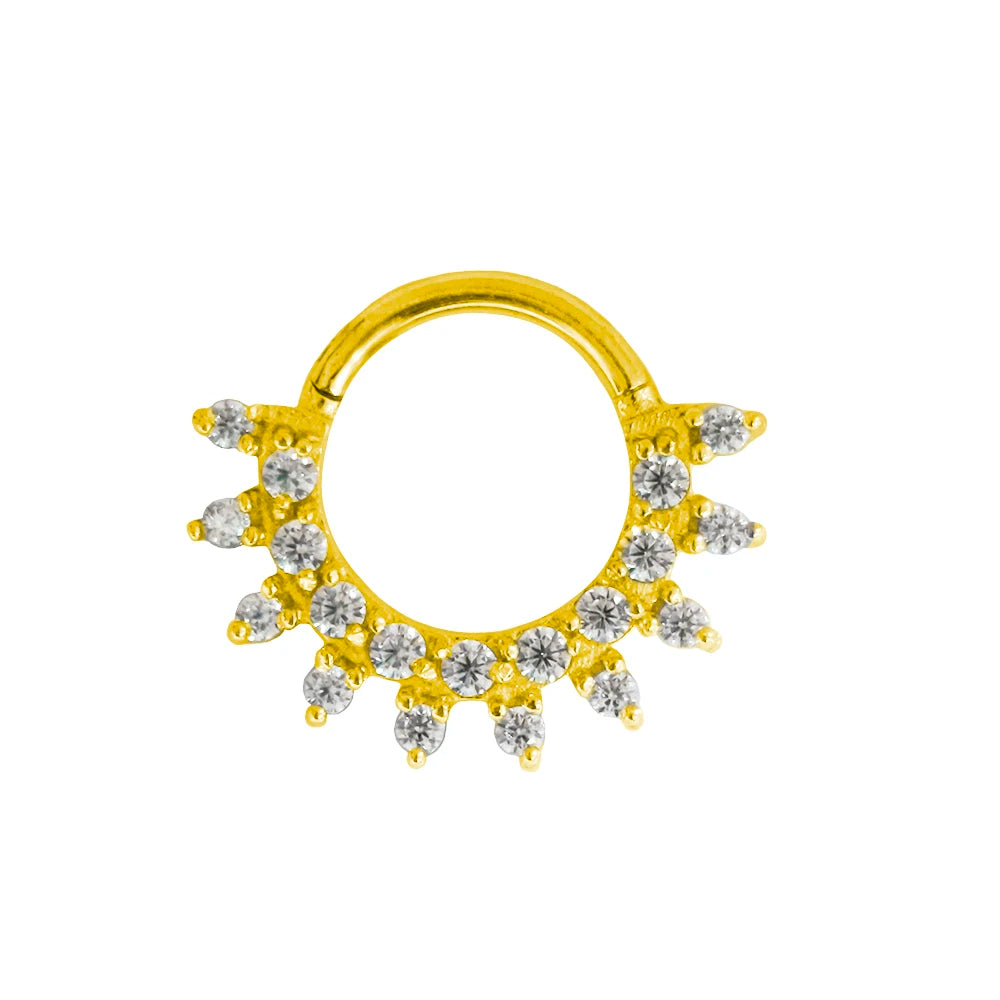 316L Chirurgischer Stahl Segment Nasenring Zirkon Septum Clicker Ohrknorpel Helix Daith Hoop Körperschmuck Piercing