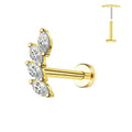 ASTM F136 G23 Titan Blattzweig Push-In Threadless Labret Piercing 16/18/20G Ohrstecker Knorpel Großhandel Körperschmuck