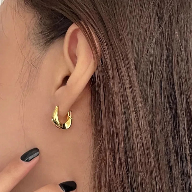 925 Sterling Silber Ohrringe für Damen Ohrringe Vielseitig Süßes Mädchen Mode Schmuck Neujahrsgeschenke Accessoires