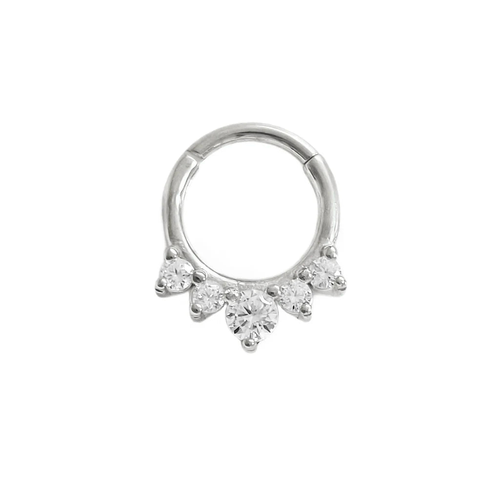 316L Chirurgischer Stahl Segment Nasenring Zirkon Septum Clicker Ohrknorpel Helix Daith Hoop Körperschmuck Piercing