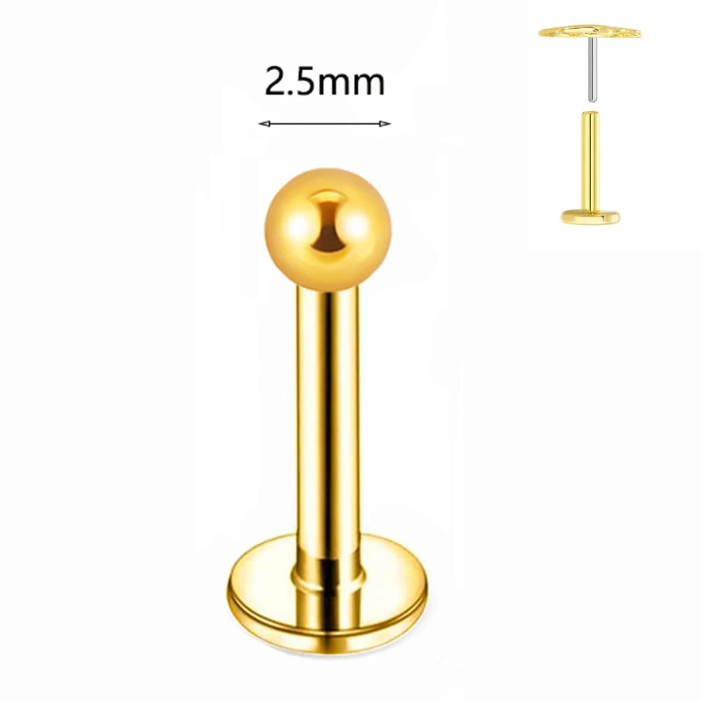 ASTM F136 G23 Titan Labret Piercing Seestern Ohrstecker Biene Blatt Push-In CZ Gewindeloser Knorpel 16/18/20G Körperschmuck