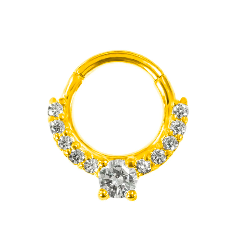 316L Chirurgischer Stahl Segment Nasenring Zirkon Septum Clicker Ohrknorpel Helix Daith Hoop Körperschmuck Piercing