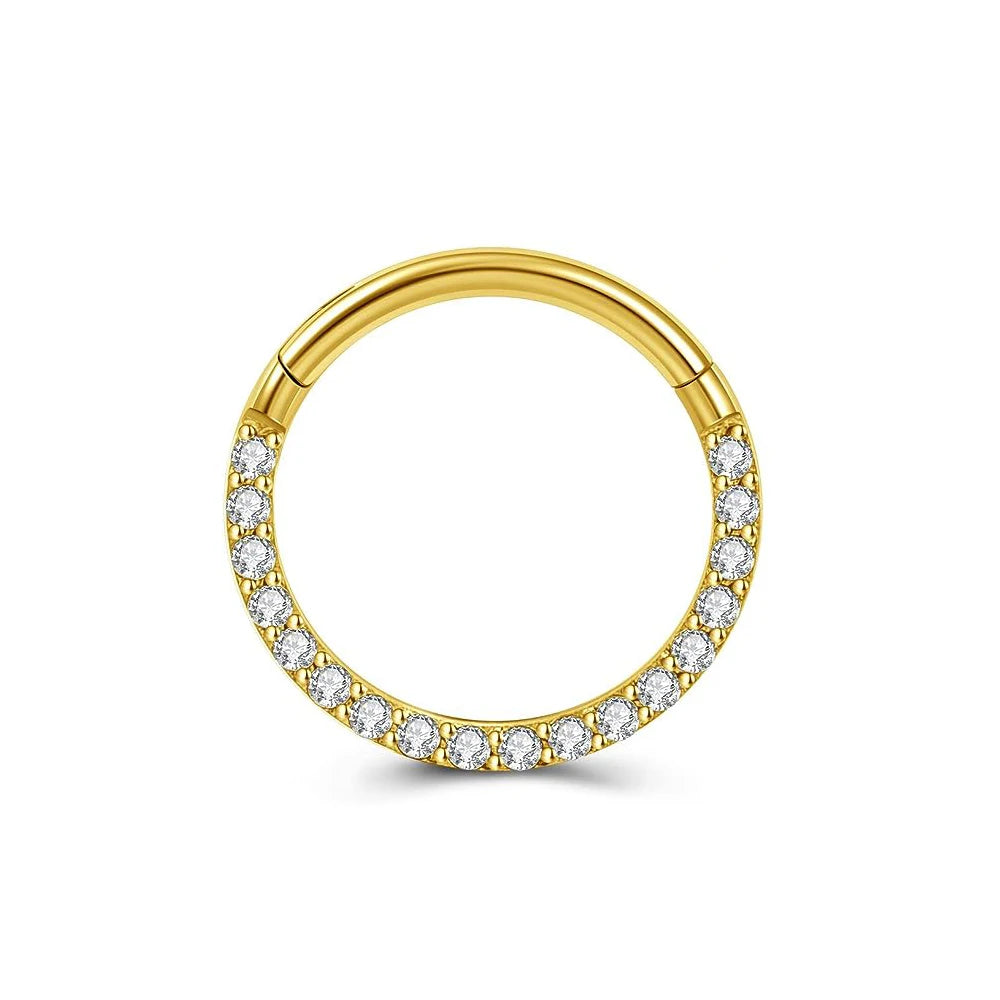 316L Chirurgischer Stahl Segment Nasenring Zirkon Septum Clicker Ohrknorpel Helix Daith Hoop Körperschmuck Piercing