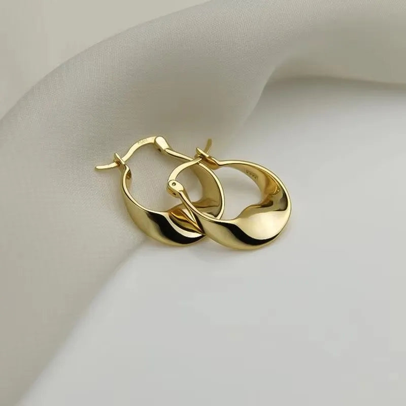 Nuevos pendientes de plata de ley 925 con forma irregular, encantadores, personalizados, de moda, regalo de cumpleaños para mujer, joyería fina