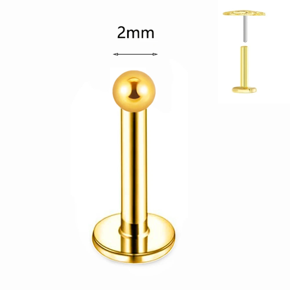 ASTM F136 G23 Titan Labret Piercing Seestern Ohrstecker Biene Blatt Push-In CZ Gewindeloser Knorpel 16/18/20G Körperschmuck