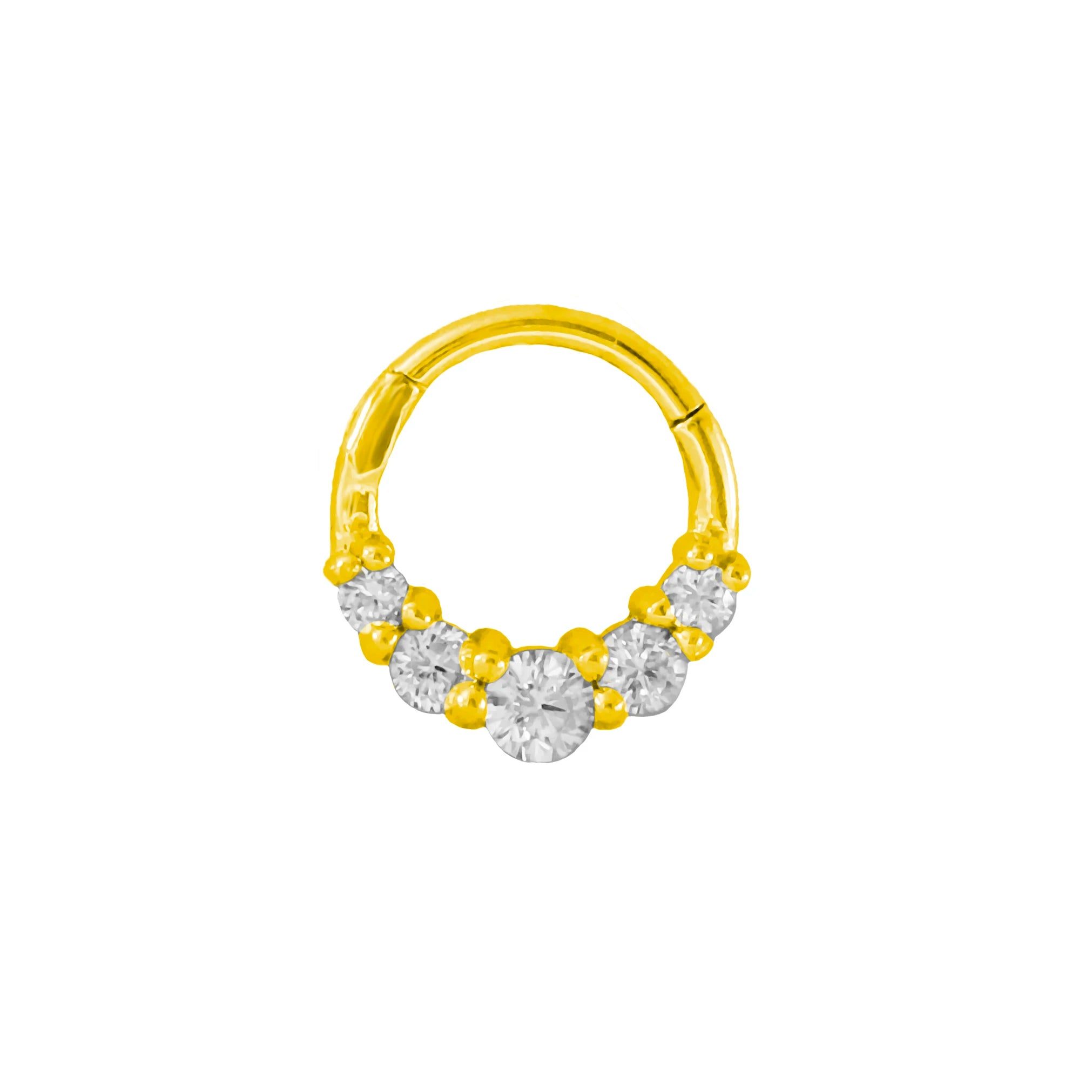 316L Chirurgischer Stahl Segment Nasenring Zirkon Septum Clicker Ohrknorpel Helix Daith Hoop Körperschmuck Piercing