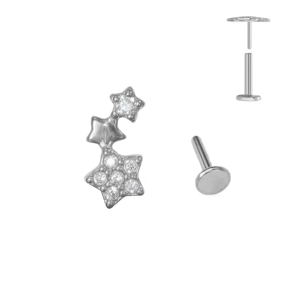 ASTM F136 G23 Titan Blumen Piercing Push-In Zweig Ohrring Stecker Anhänger Gewindefreies Labret Piercing Knorpel Körperschmuck