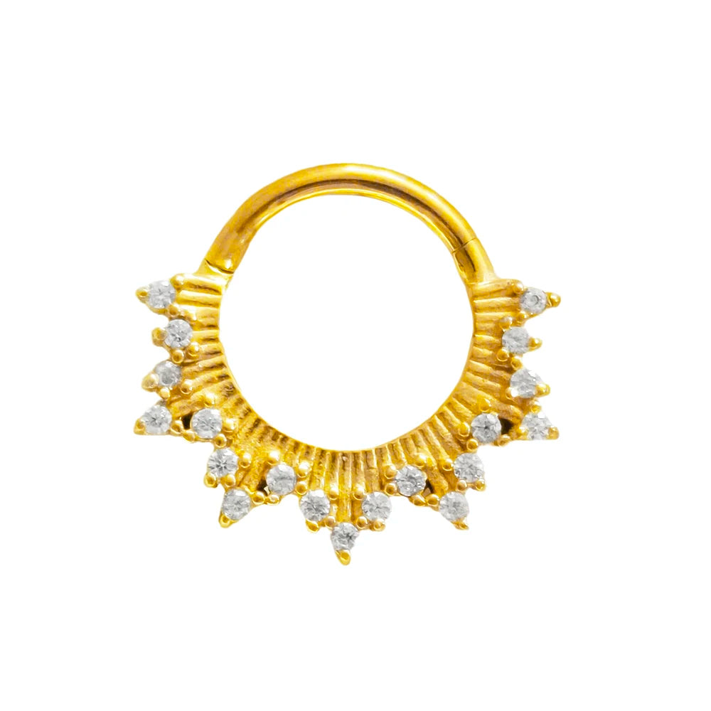 316L Chirurgischer Stahl Segment Nasenring Zirkon Septum Clicker Ohrknorpel Helix Daith Hoop Körperschmuck Piercing