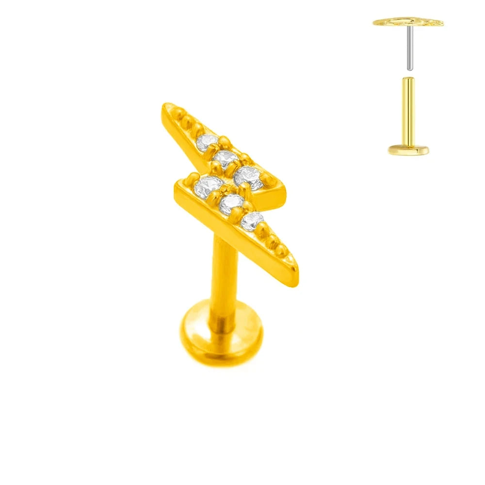 ASTM F136 G23 Titan Blattzweig Push-In Threadless Labret Piercing 16/18/20G Ohrstecker Knorpel Großhandel Körperschmuck