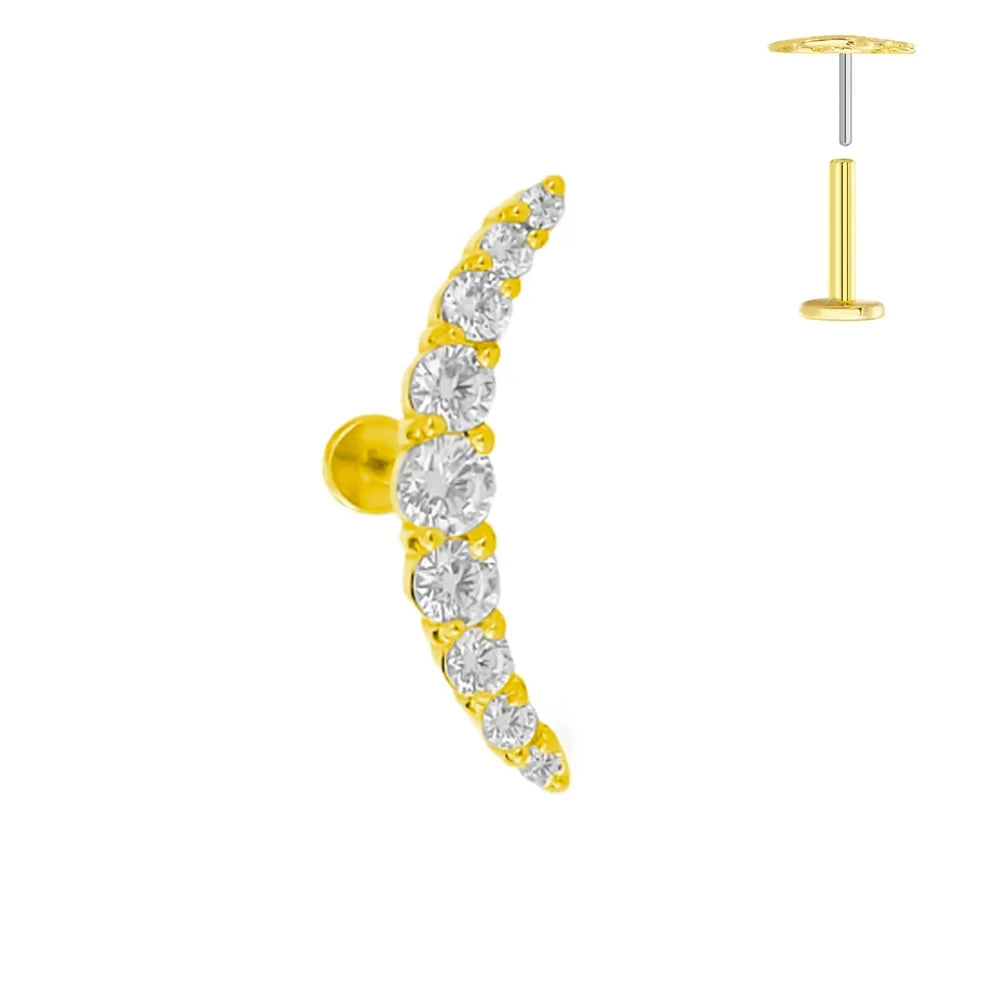 ASTM F136 G23 Titan Blattzweig Push-In Threadless Labret Piercing 16/18/20G Ohrstecker Knorpel Großhandel Körperschmuck