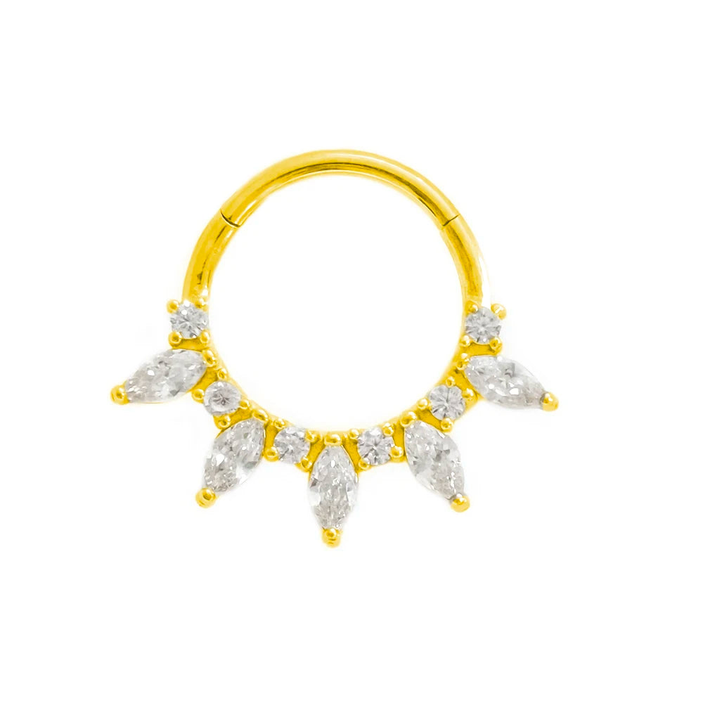 316L Chirurgischer Stahl Segment Nasenring Zirkon Septum Clicker Ohrknorpel Helix Daith Hoop Körperschmuck Piercing