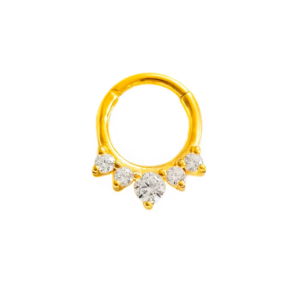 316L Chirurgischer Stahl Segment Nasenring Zirkon Septum Clicker Ohrknorpel Helix Daith Hoop Körperschmuck Piercing