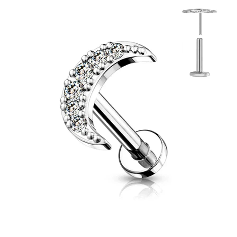 ASTM F136 G23 Titan Blattzweig Push-In Threadless Labret Piercing 16/18/20G Ohrstecker Knorpel Großhandel Körperschmuck