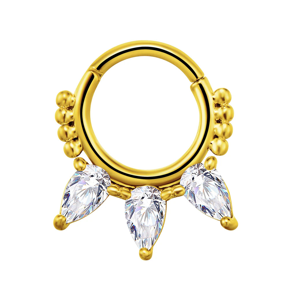 316L Chirurgischer Stahl Segment Nasenring Zirkon Septum Clicker Ohrknorpel Helix Daith Hoop Körperschmuck Piercing