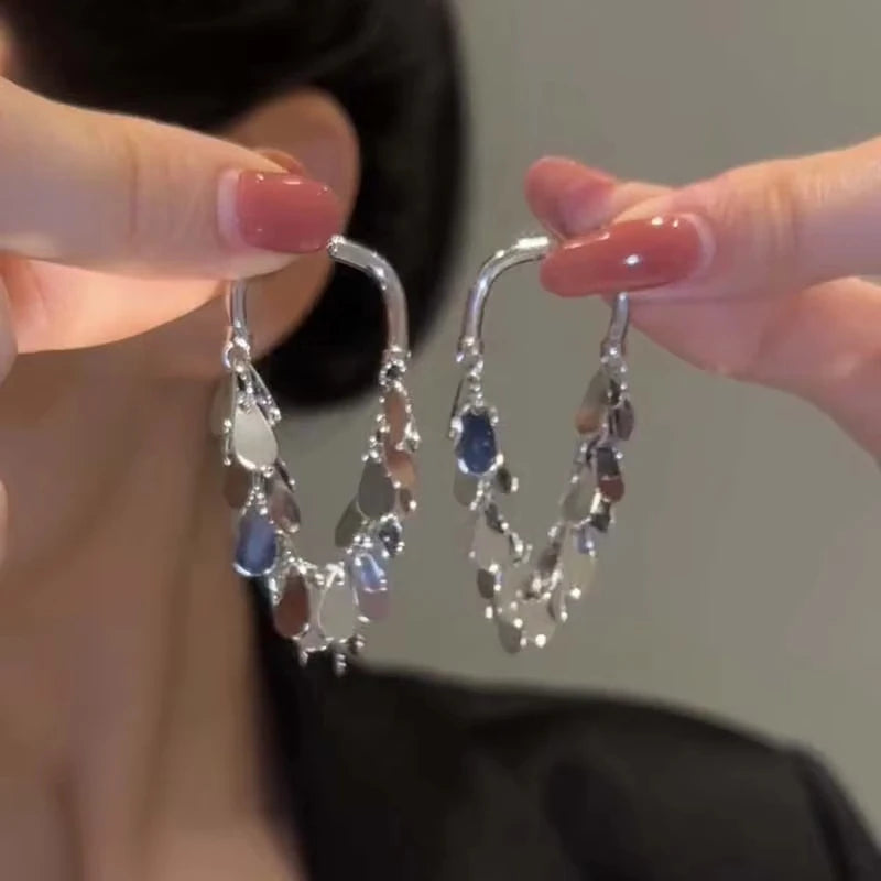 2026 Neue Senior Luxus Zarte Lange Quasten Ohrhänger Modisch Vielseitige Übertreiben Metall Damen Schmuck Mädchen Ohrringe