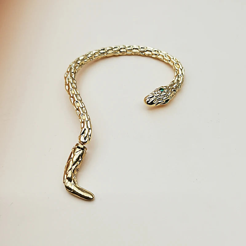 Personalisierte gotische, gewundene Schlangen-Ohrklemme, trendiger Avantgarde-Hip-Hop Party Charm, Damenschmuck-Accessoires
