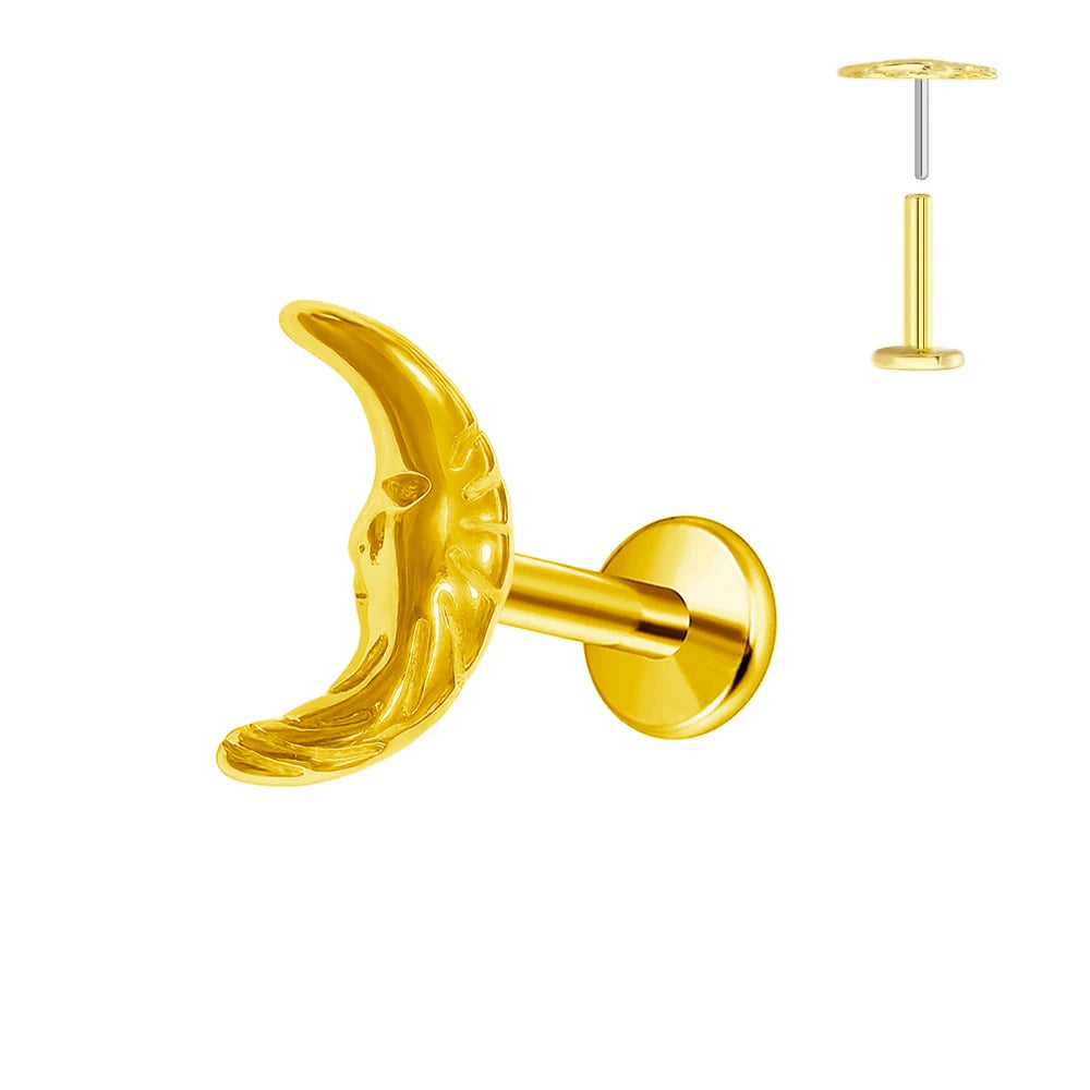 ASTM F136 G23 Titan Blumen Piercing Push-In Zweig Ohrring Stecker Anhänger Gewindefreies Labret Piercing Knorpel Körperschmuck