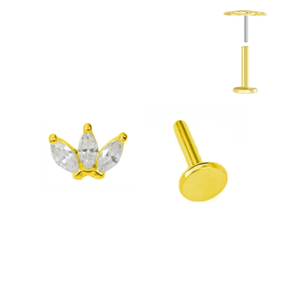 ASTM F136 G23 Titan Blattzweig Push-In Threadless Labret Piercing 16/18/20G Ohrstecker Knorpel Großhandel Körperschmuck