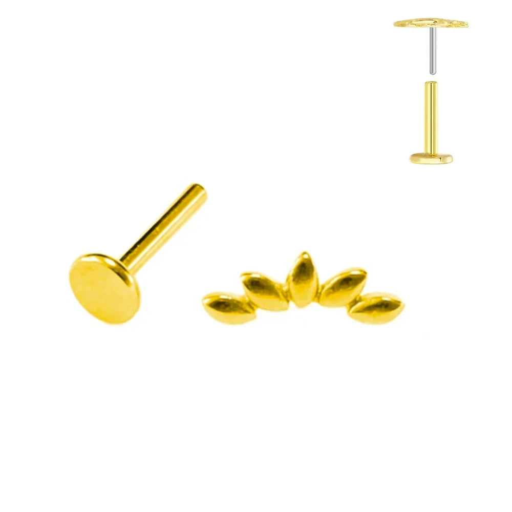 ASTM F136 G23 Titan Blattzweig Push-In Threadless Labret Piercing 16/18/20G Ohrstecker Knorpel Großhandel Körperschmuck