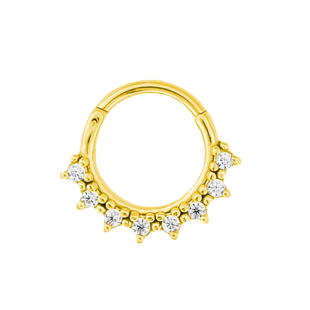 316L Chirurgischer Stahl Segment Nasenring Zirkon Septum Clicker Ohrknorpel Helix Daith Hoop Körperschmuck Piercing