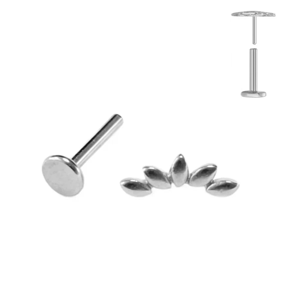 ASTM F136 G23 Titan Blattzweig Push-In Threadless Labret Piercing 16/18/20G Ohrstecker Knorpel Großhandel Körperschmuck